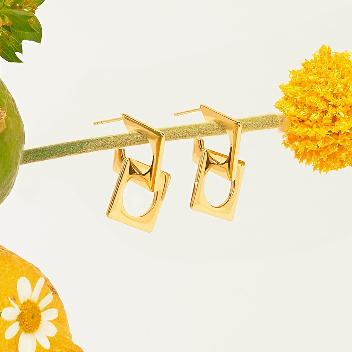 Wild & free earrings