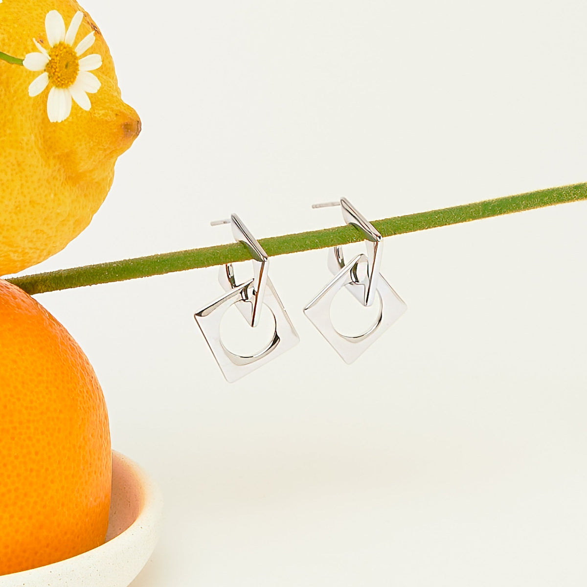 Wild & free earrings